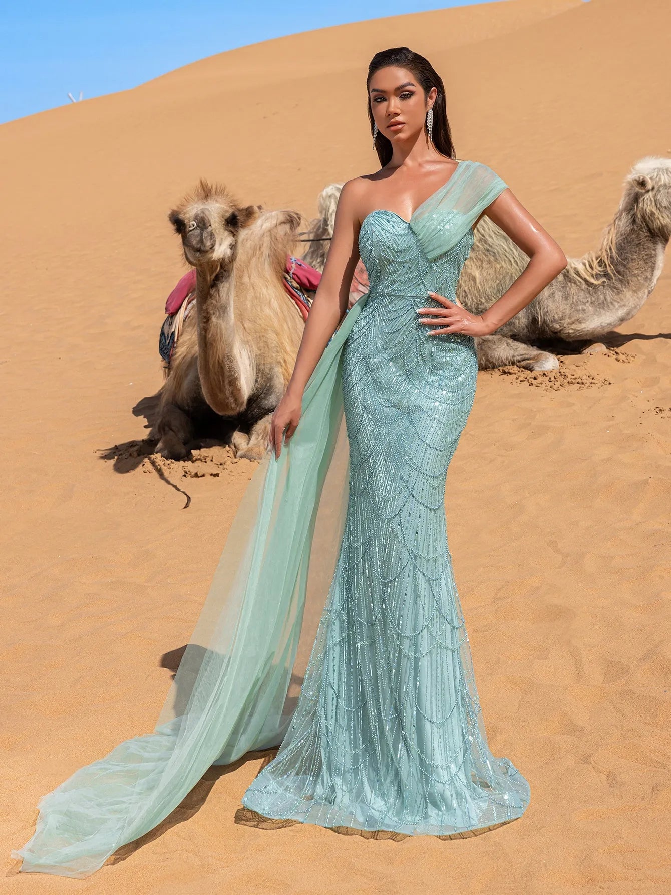 Luxury Gorgeous One Shoulder Draped Side Mermaid Prom Dress